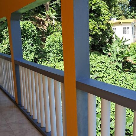 Viva Violas Port Antonio Exterior photo