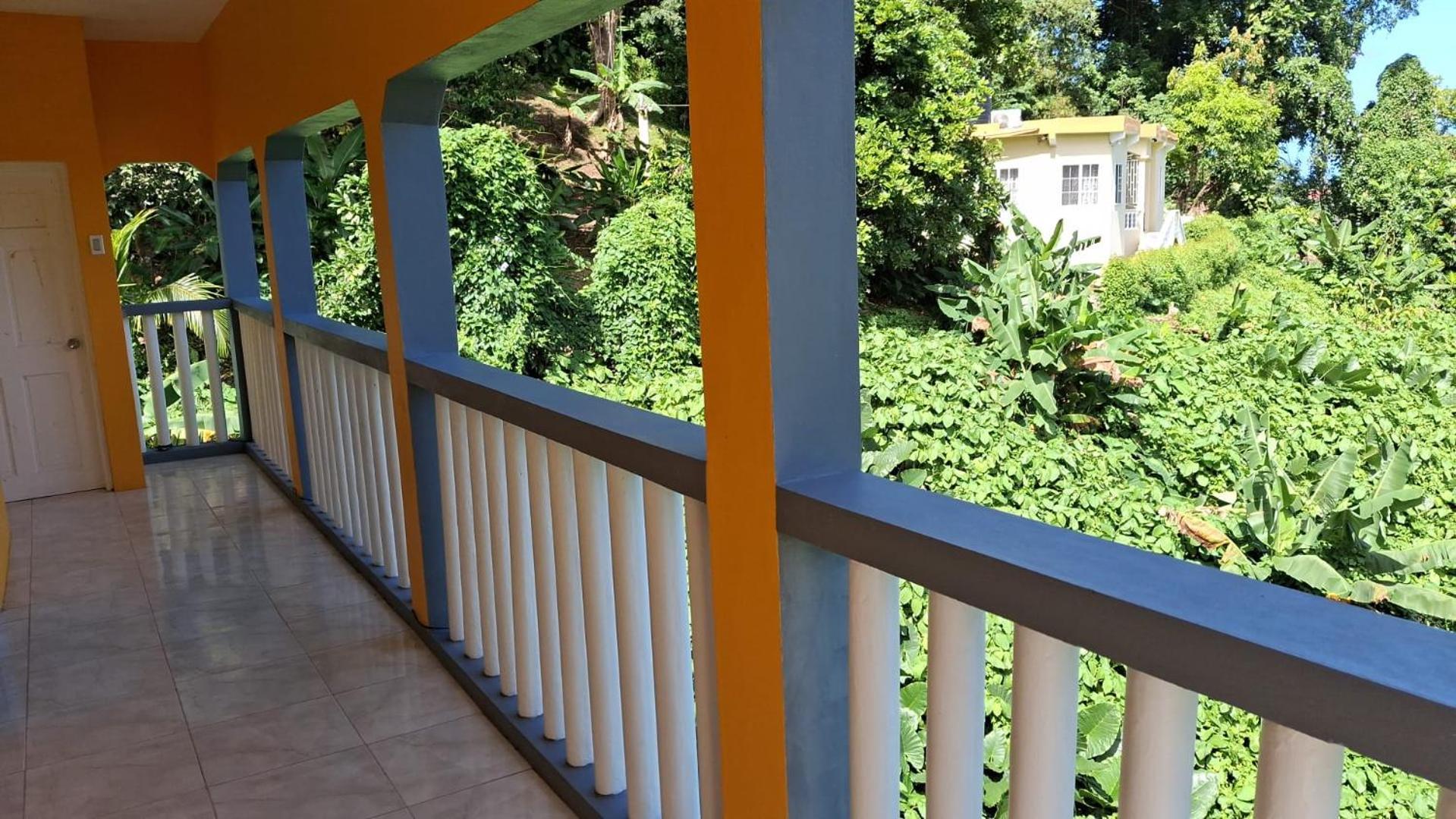 Viva Violas Port Antonio Exterior photo