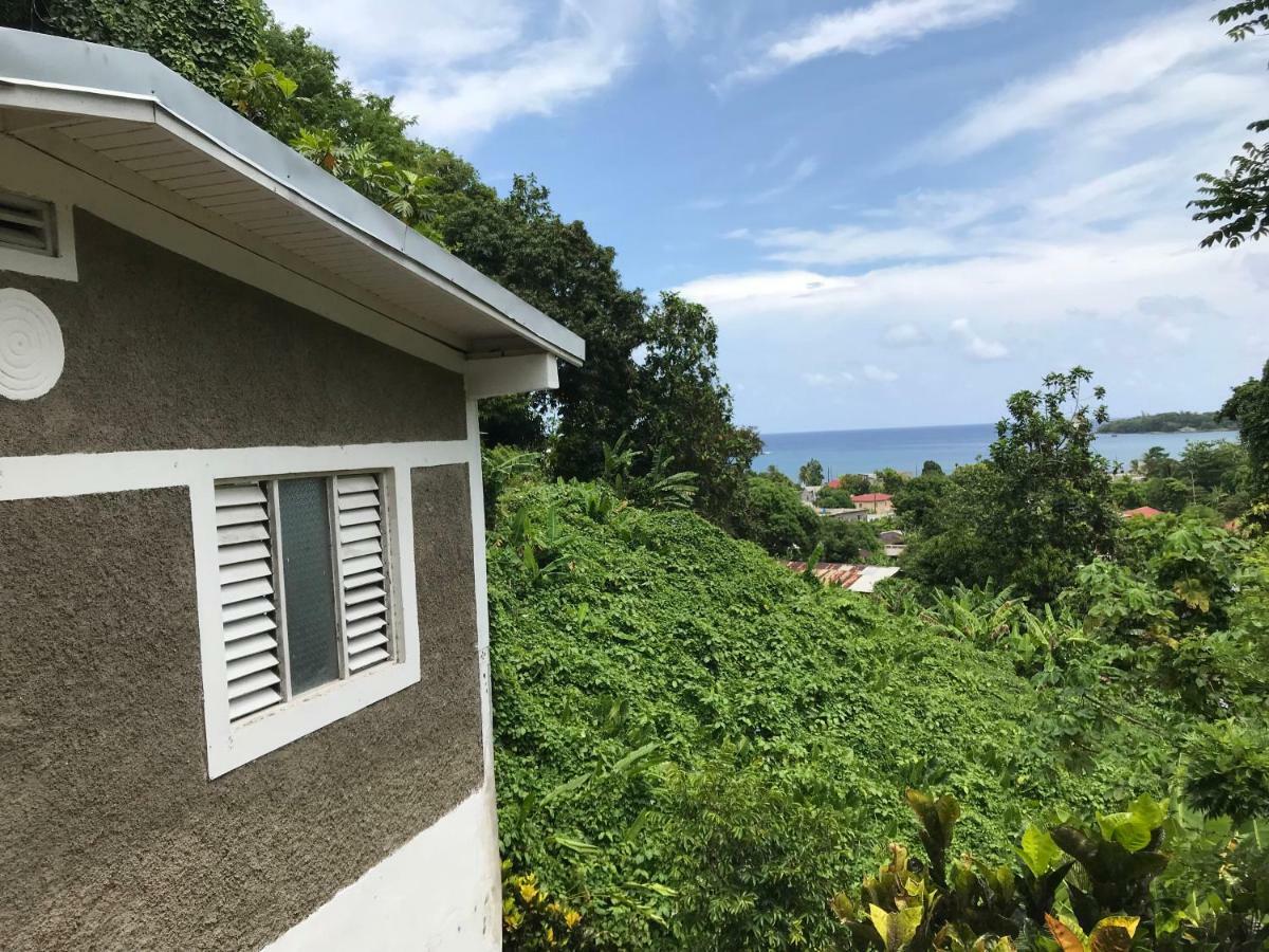 Viva Violas Port Antonio Exterior photo