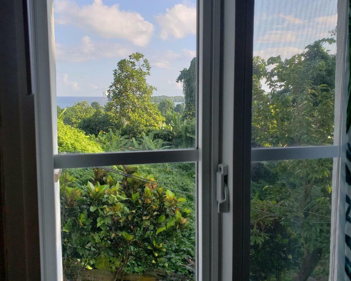 Viva Violas Port Antonio Exterior photo